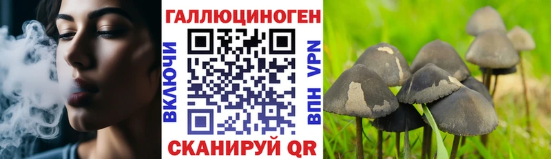 купить наркотик  ОМГ ОМГ рабочий сайт  Галлюциногенные грибы GOLDEN TEACHER  Чистополь 
